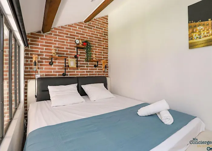 Feretra - Duplex 33 M Metro Empalot A 3 Min Parking Free *